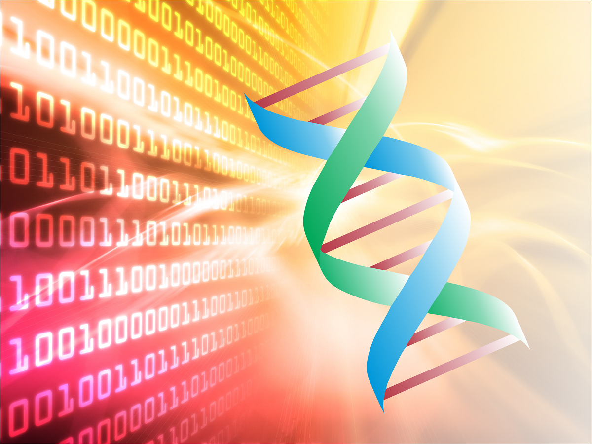DIGITAL BITS IN DNA
